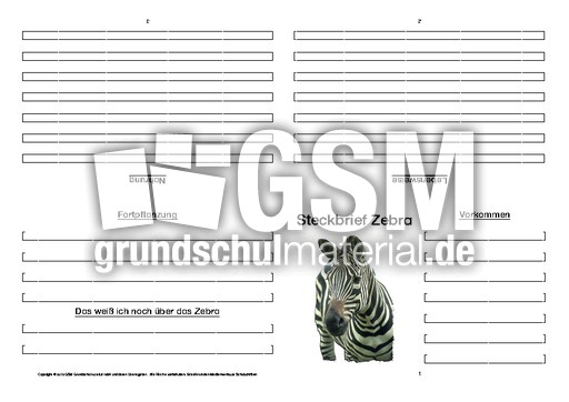 Zebra-Faltbuch-vierseitig-7.pdf